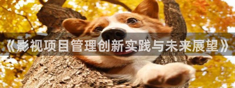 奇优影院在线手机观看